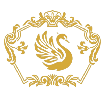 best dryfruits shop in rohini